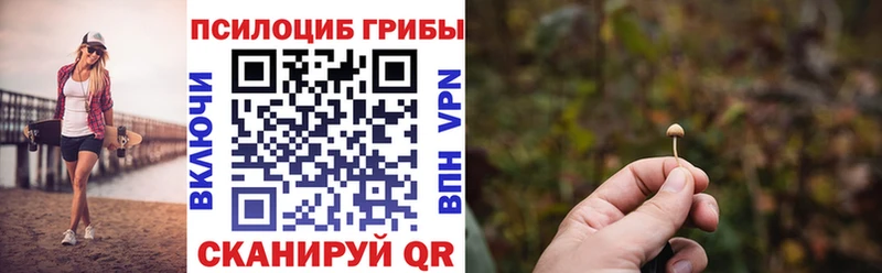 даркнет сайт  ссылка на мегу ссылки  Псилоцибиновые грибы Psilocybine cubensis  Иваново 