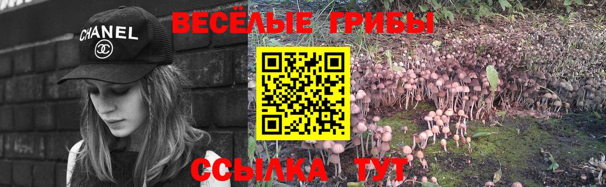 продажа наркотиков  Галлюциногенные грибы мухоморы  Иваново  Вход с VPN  Псилоцибиновые грибы Cubensis 
